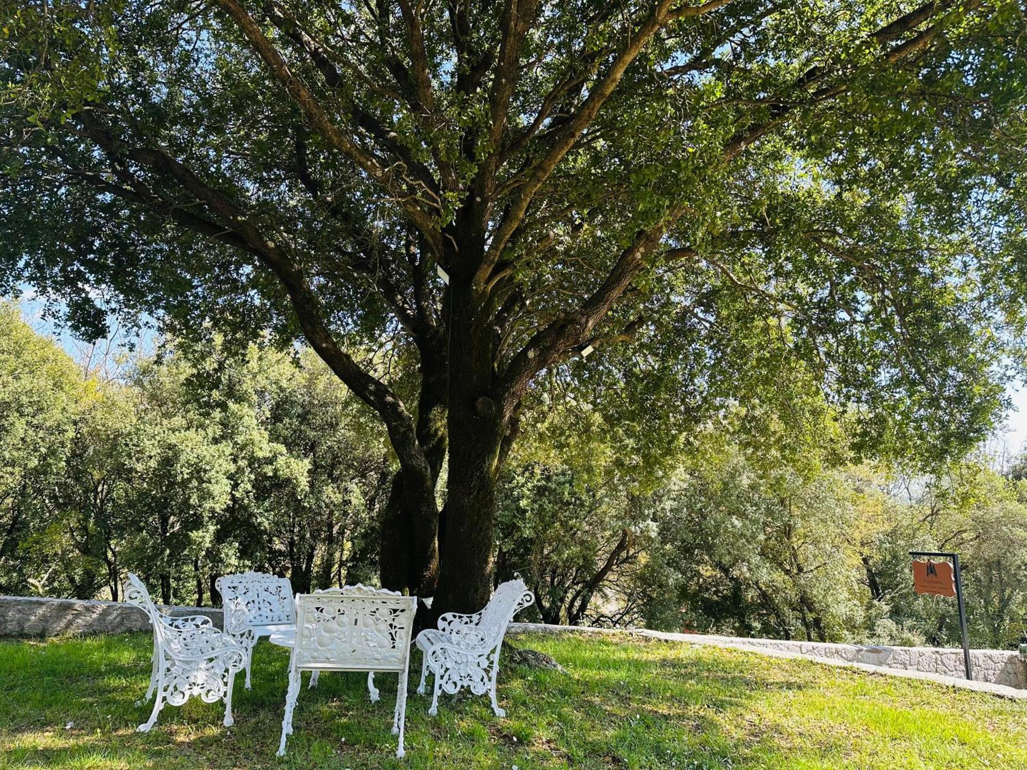 Vourgareli Panthoron Tzoumerka מראה חיצוני תמונה